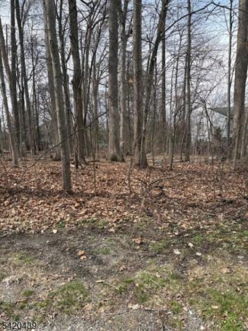 3 Wood Dale Court Vernon NJ 07461