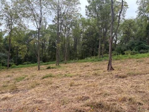 19 Swayze Mill Road Hope NJ 07825