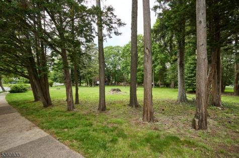 251 Elmwynd Drive City Of Orange NJ 07050