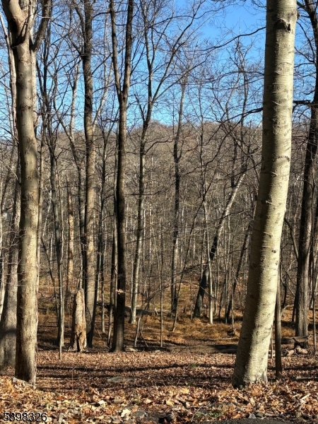 2 Kent Brook Terrace Kinnelon NJ 07405