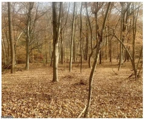 85 Cherryville Hollow Road Raritan NJ 08822