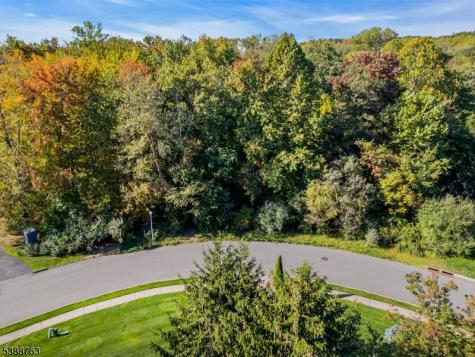 29 Schneider Lane Montville NJ 07045