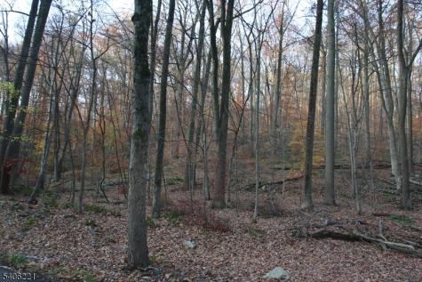 Sweet Hollow Road Holland NJ 08848