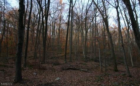 Sweet Hollow Road Holland NJ 08848