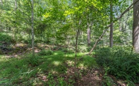 Sweet Hollow Road Holland NJ 08848