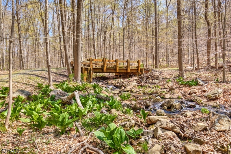 60 And 66 Rippling Brook Wa Bernardsville NJ 07924