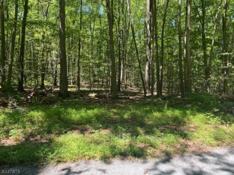 10 Newman Road Hardwick NJ 07825