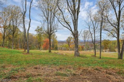 83 Danville Mountain Road Liberty NJ 07838