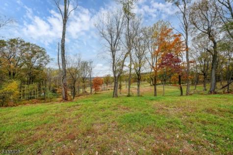 83 Danville Mountain Road Liberty NJ 07838