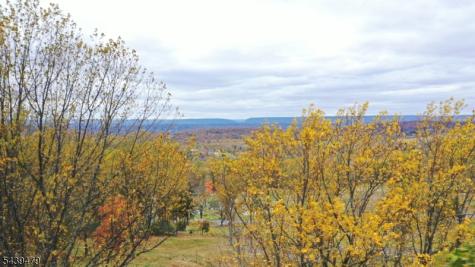 83 Danville Mountain Road Liberty NJ 07838