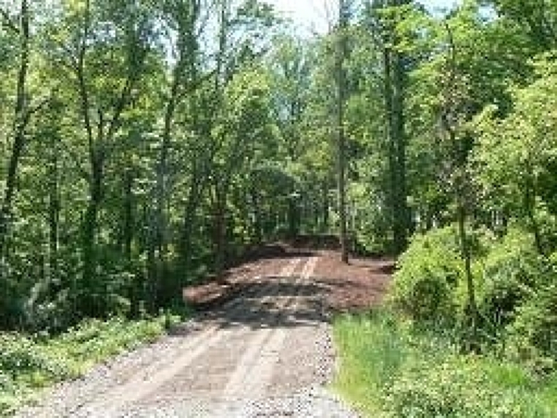 97 Hartpence Road Alexandria NJ 08848