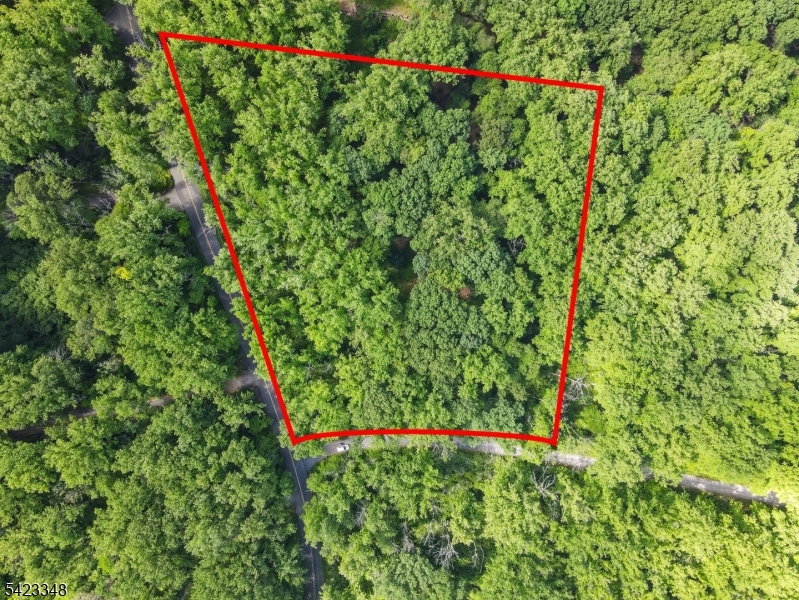 160 Jockey Hollow Road Bernardsville NJ 07924