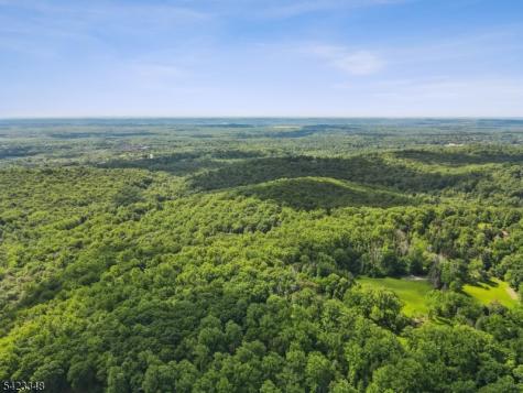 160 Jockey Hollow Road Bernardsville NJ 07924