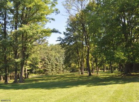 20 Dryden Road Bernardsville NJ 07924