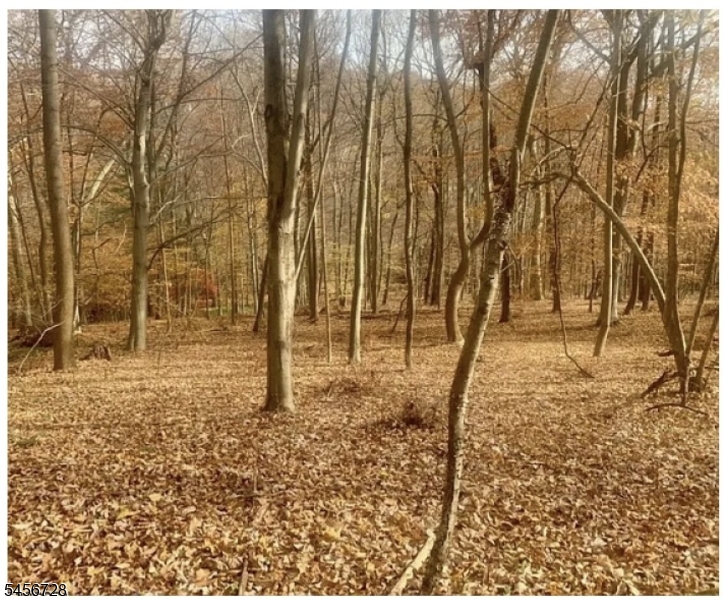 85 Cherryville Hollow Road Raritan NJ 08822