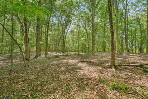 Homestead Road Long Hill NJ 07933