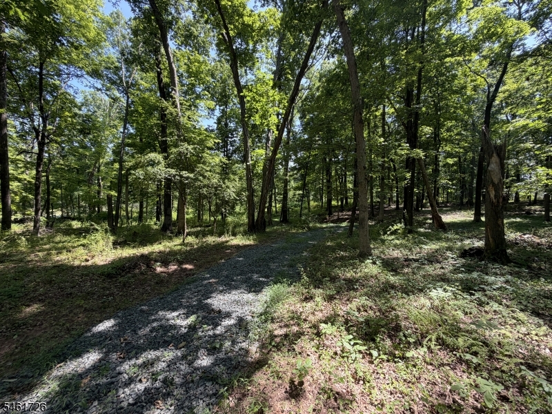 24 Shagbark Lane Readington NJ 08889