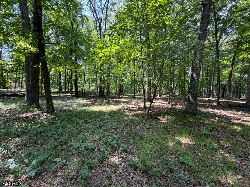24 Shagbark Lane Readington NJ 08889
