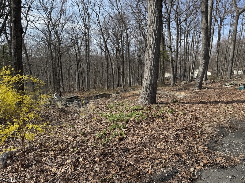 48 Alexandria Avenue Hopatcong NJ 07821