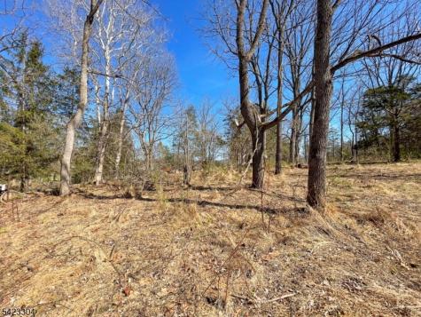 569 Ervey Road Allamuchy NJ 07821
