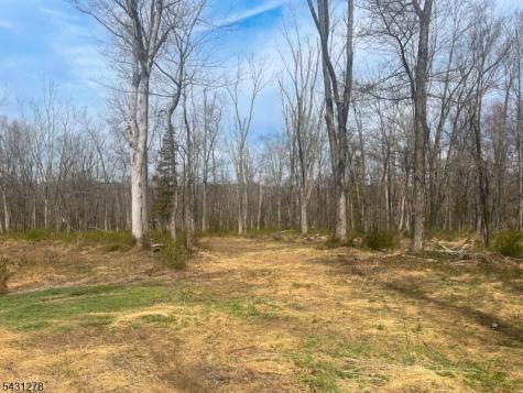 29 Twin Oaks Lane Harding NJ 07960