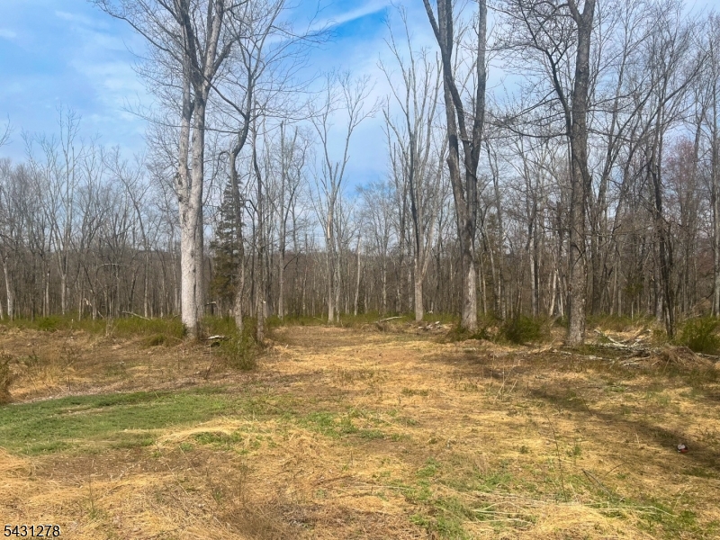 29 Twin Oaks Lane Harding NJ 07960
