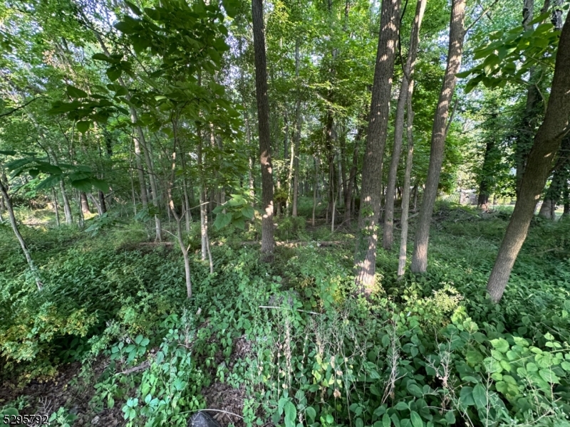 Fairfield Avenue West Caldwell NJ 07006