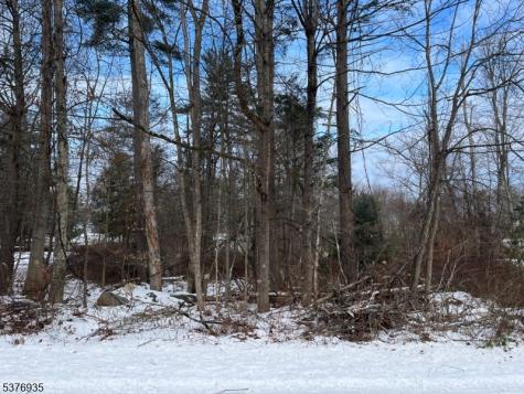 260 Old Chimney Ridge Road Montague NJ 07827