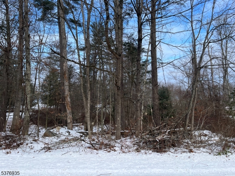 260 Old Chimney Ridge Road Montague NJ 07827