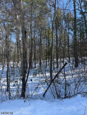 Martha Street Sandyston NJ 07826