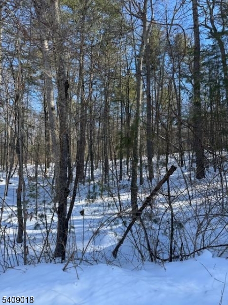 Martha Street Sandyston NJ 07826