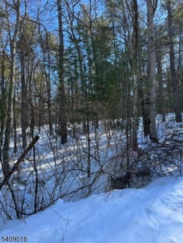 Martha Street Sandyston NJ 07826