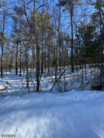 Martha Street Sandyston NJ 07826