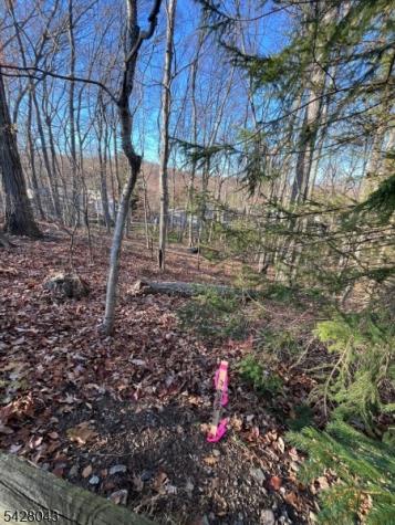 22 Mountain Road Denville NJ 07834