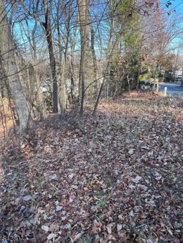22 Mountain Road Denville NJ 07834