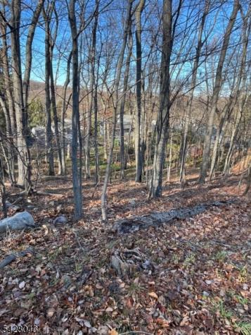 22 Mountain Road Denville NJ 07834