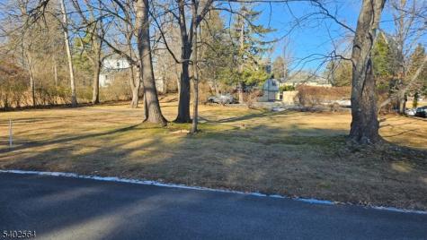 8 Castle Place Long Hill NJ 07933