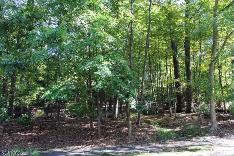 469 Windemere Avenue Mount Arlington NJ 07856