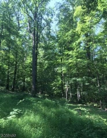 2 Stony Brook Lane Bethlehem NJ 08802