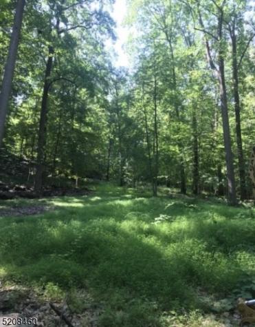 2 Stony Brook Lane Bethlehem NJ 08802