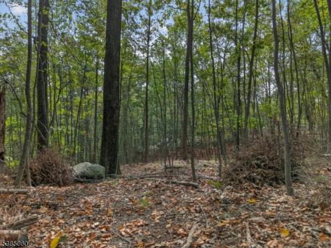 Stonehedge Way West Milford NJ 07480