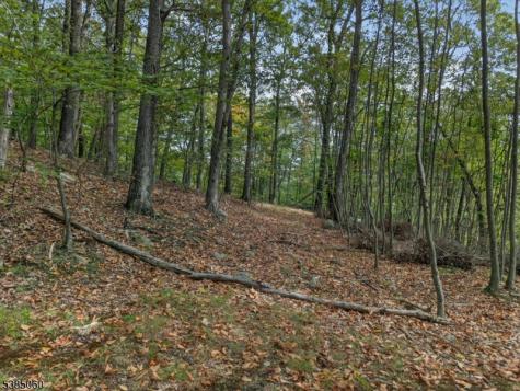 Stonehedge Way West Milford NJ 07480