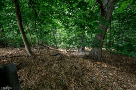 39 Forest Drive Bloomfield NJ 07003