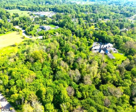 6 Castle Court Far Hills NJ 07931