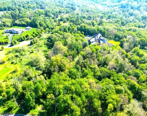 6 Castle Court Far Hills NJ 07931
