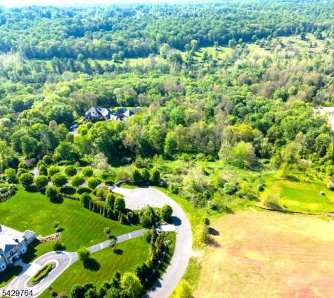 6 Castle Court Far Hills NJ 07931