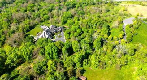 6 Castle Court Far Hills NJ 07931