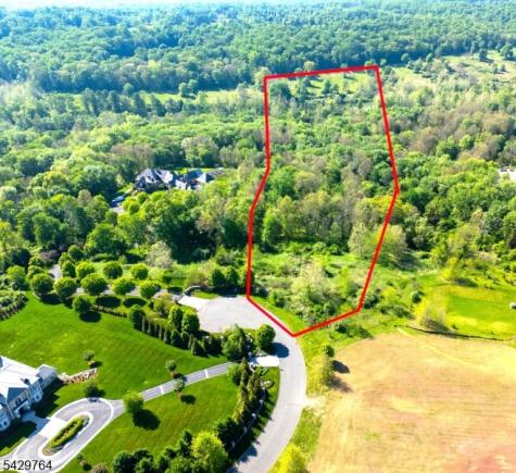 6 Castle Court Far Hills NJ 07931