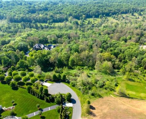 6 Castle Court Far Hills NJ 07931