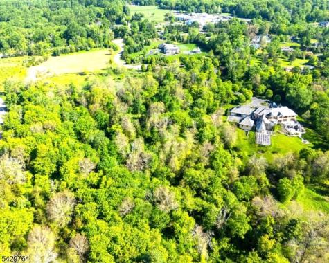 6 Castle Court Far Hills NJ 07931